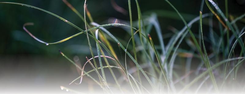 Cover Photo