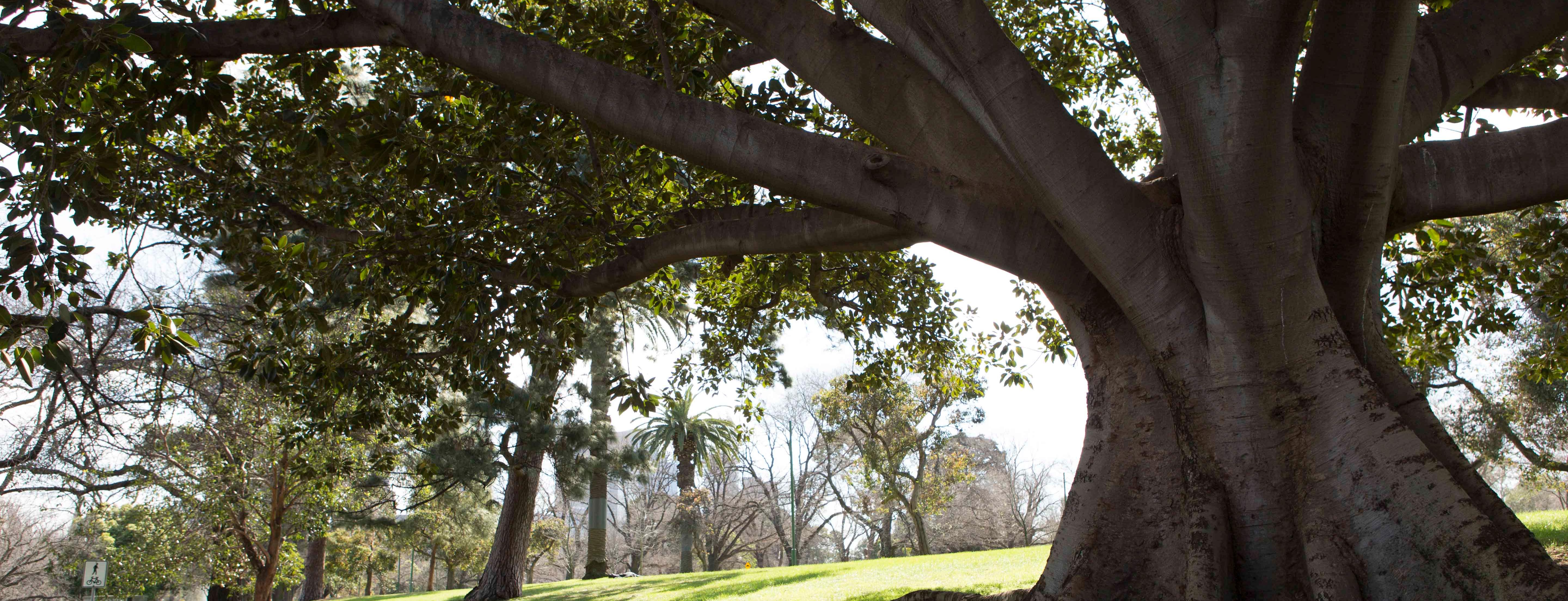 Cover Photo