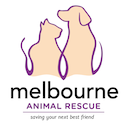 Logo Photo