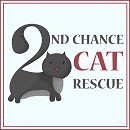 Logo Photo