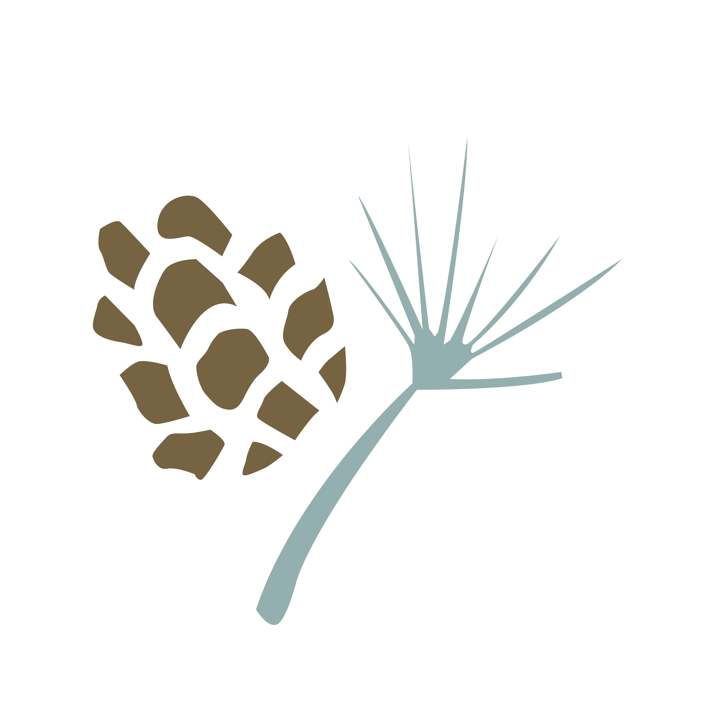 Logo Photo